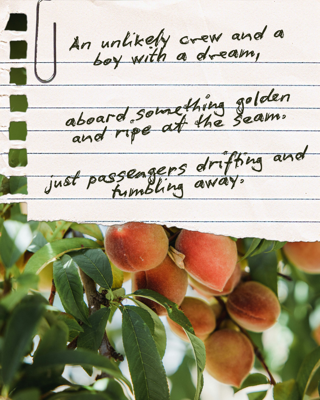 April 2026 - Blind Date with Yarn - Passengers