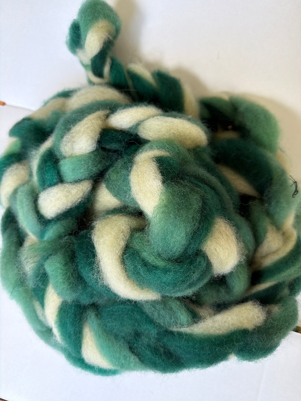 Enchanted Forest Roving